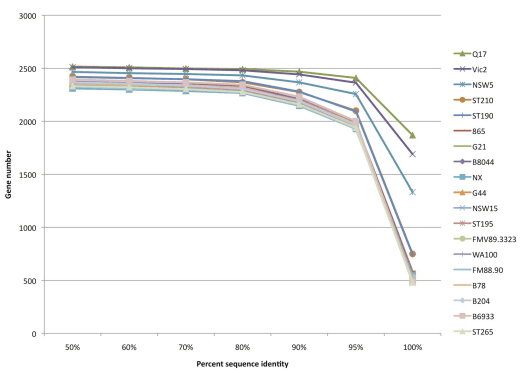 Analysis of Multiple Brachyspira hyodysenteriae Genomes Confirms That the Species Is Relatively Conserved but Has Potentially Important Strain Variation - Image 10