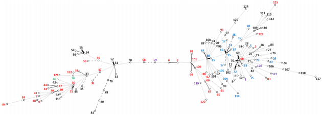 The pathogenic intestinal spirochaete Brachyspira pilosicoli forms a diverse recombinant species demonstrating some local clustering of related strains and potential for zoonotic spread - Image 3