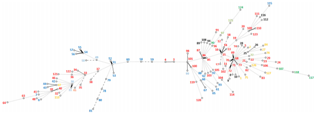 The pathogenic intestinal spirochaete Brachyspira pilosicoli forms a diverse recombinant species demonstrating some local clustering of related strains and potential for zoonotic spread - Image 5