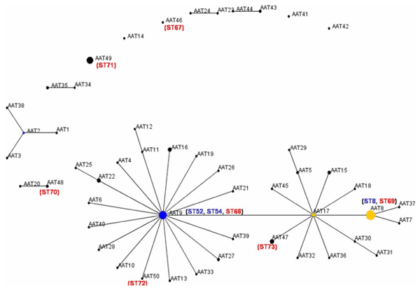 Dissemination of Clonal Groups of Brachyspira hyodysenteriae amongst Pig Farms in Spain, and Their Relationships to Isolates from Other Countries - Image 7