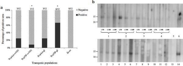 Viral proteins expressed in the protozoan parasite Eimeria tenella are detected by the chicken immune system - Image 8