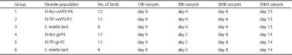 Viral proteins expressed in the protozoan parasite Eimeria tenella are detected by the chicken immune system - Image 3