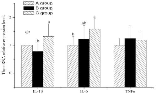 Effects of Chitosan on Intestinal Inflammation in Weaned Pigs Challenged by Enterotoxigenic Escherichia coli - Image 7