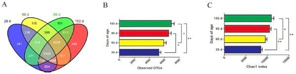 Dynamic Distribution of the Gut Microbiota and the Relationship with Apparent Crude Fiber Digestibility and Growth Stages in Pigs - Image 1