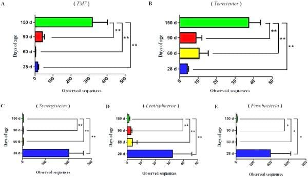 Dynamic Distribution of the Gut Microbiota and the Relationship with Apparent Crude Fiber Digestibility and Growth Stages in Pigs - Image 6