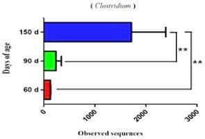 Dynamic Distribution of the Gut Microbiota and the Relationship with Apparent Crude Fiber Digestibility and Growth Stages in Pigs - Image 7