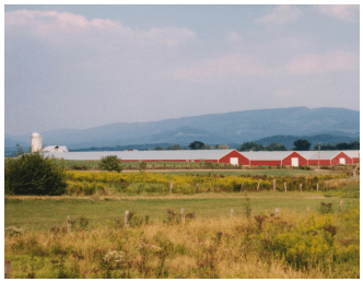 Maximizing Poultry Manure Use Through Nutrient Management Planning - Image 1