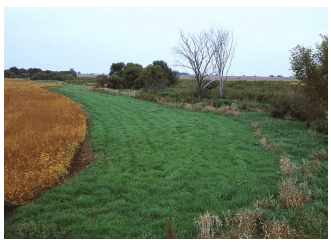 Maximizing Poultry Manure Use Through Nutrient Management Planning - Image 2