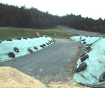 Composting Mass Poultry Mortalities - Image 1