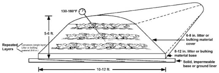 Composting Mass Poultry Mortalities - Image 2