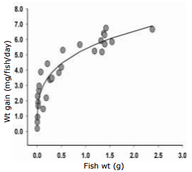 Feed Requirements for Maintenance and Growth of Anemone Clownfish Amphiprion percula - Image 6