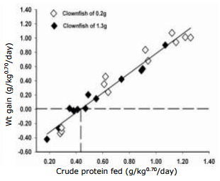 Feed Requirements for Maintenance and Growth of Anemone Clownfish Amphiprion percula - Image 4