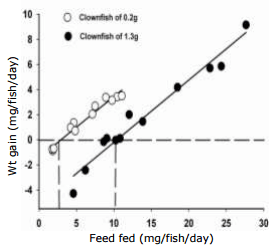 Feed Requirements for Maintenance and Growth of Anemone Clownfish Amphiprion percula - Image 2