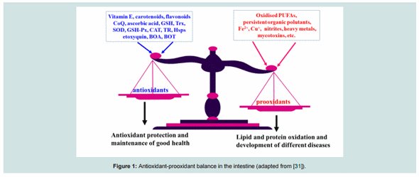 Antioxidant-Prooxidant Balance in the Intestine: Applications in Chick Placement and Pig Weaning - Image 1