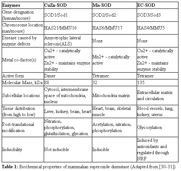 Antioxidant Systems in Poultry Biology: Superoxide Dismutase - Image 1