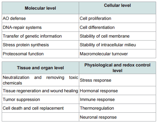 Carnitine Enigma: From Antioxidant Action to Vitagene Regulation. Part 2. Transcription Factors and Practical Applications - Image 1