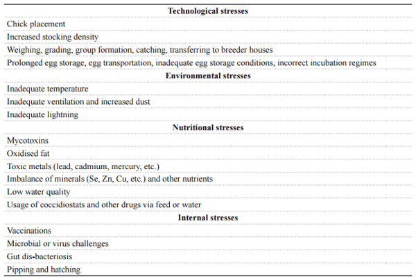 Natural antioxidants and stresses in poultry production: from vitamins to vitagenes - Image 1