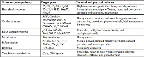 Antioxidant Systems in Poultry Biology: Heat Shock Proteins - Image 1