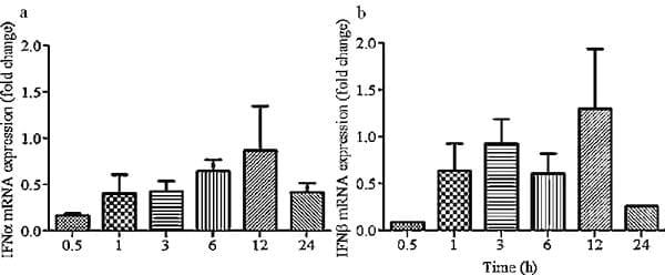 Induction of Toll-like receptor 4 signaling in avian macrophages inhibits infectious laryngotracheitis virus replication in a nitric oxide dependent way - Image 4