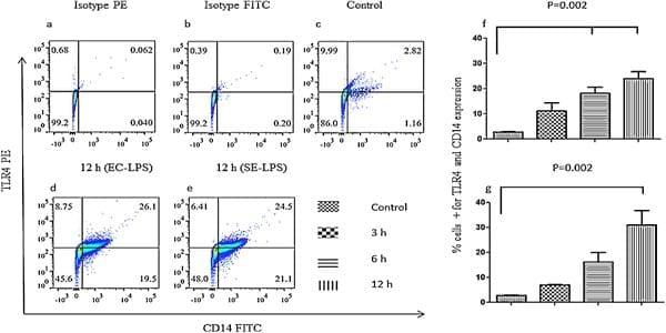 Induction of Toll-like receptor 4 signaling in avian macrophages inhibits infectious laryngotracheitis virus replication in a nitric oxide dependent way - Image 1