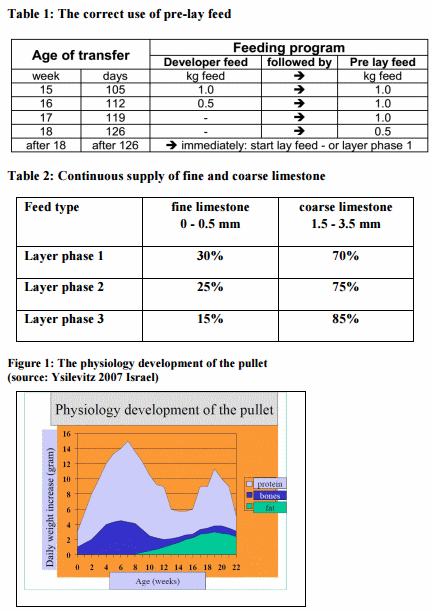 Improved profitability in poultry production with combination of genetics, nutrition and natural feed additives - Image 1