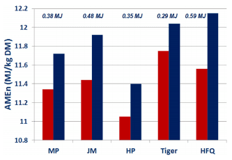 Sodium metabisulphite enhances energy utilisation in broiler chickens offered sorghum-based diets with five different grain varieties - Image 21