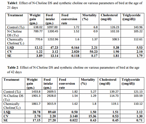 Comparative Study of N-Choline Ds and Synthetic Choline on Broilers - Image 1