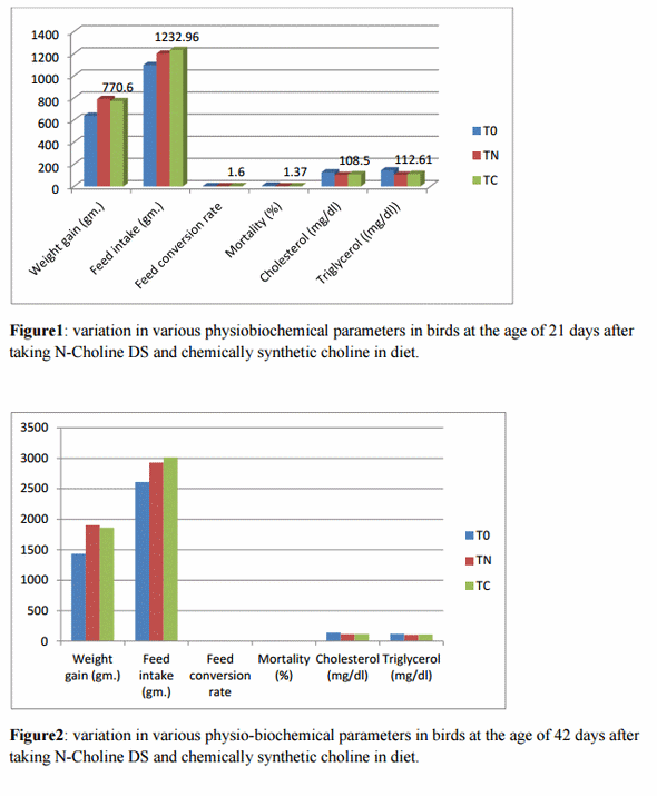 Comparative Study of N-Choline Ds and Synthetic Choline on Broilers - Image 2