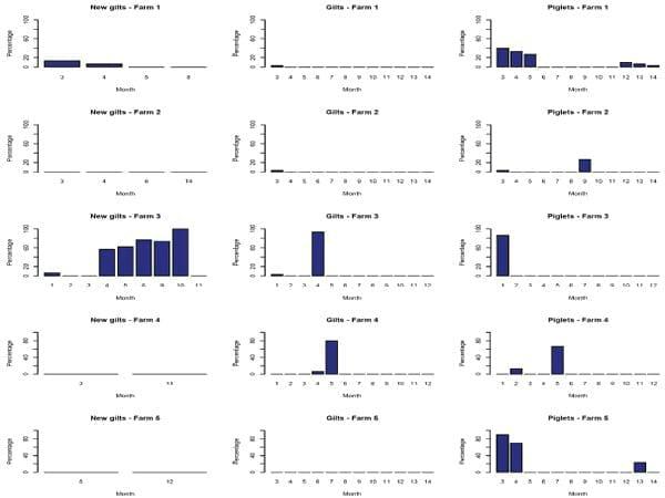 Association between Influenza A Virus Infection and Pigs Subpopulations in Endemically Infected Breeding Herds - Image 3