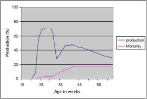 Avian Influenza H9N2 in the Middle East Countries - Image 4