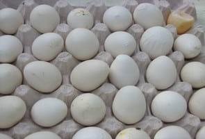 Avian Influenza H9N2 in the Middle East Countries - Image 5