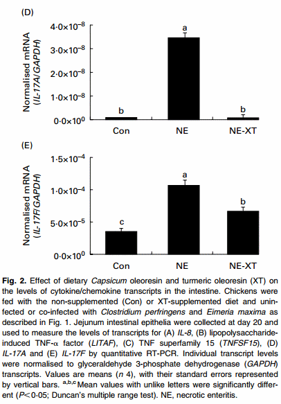 Dietary supplementation of young broiler chickens with Capsicum and turmeric oleoresins increases resistance to necrotic enteritis - Image 5