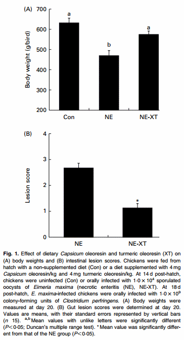 Dietary supplementation of young broiler chickens with Capsicum and turmeric oleoresins increases resistance to necrotic enteritis - Image 2