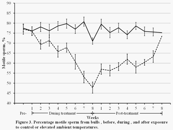 Influence of Heat Stress on Male Fertility - Image 1