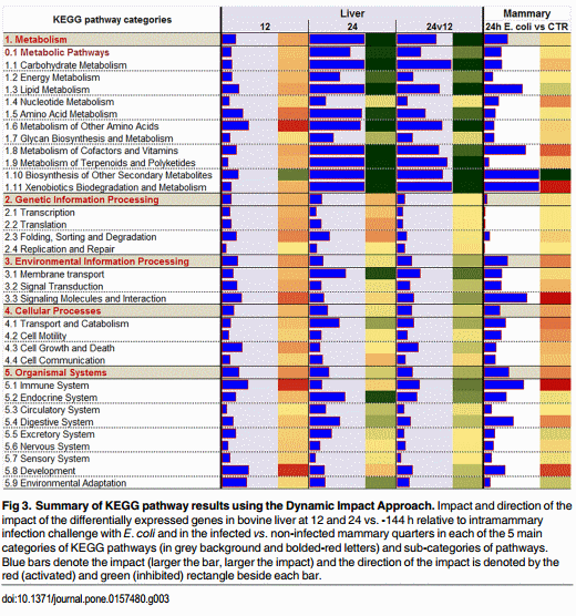 The Impact of Intramammary Escherichia coli Challenge on Liver and Mammary Transcriptome and Cross-Talk in Dairy Cows during Early Lactation Using RNAseq - Image 4