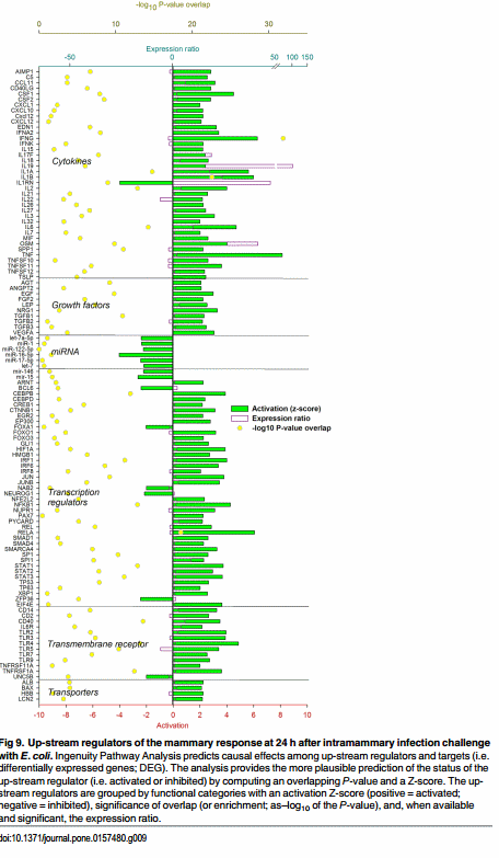 The Impact of Intramammary Escherichia coli Challenge on Liver and Mammary Transcriptome and Cross-Talk in Dairy Cows during Early Lactation Using RNAseq - Image 10