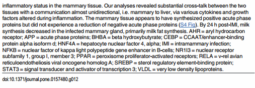 The Impact of Intramammary Escherichia coli Challenge on Liver and Mammary Transcriptome and Cross-Talk in Dairy Cows during Early Lactation Using RNAseq - Image 14