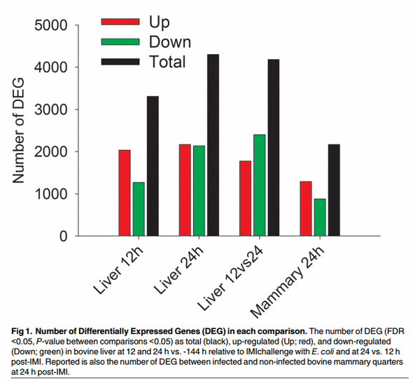 The Impact of Intramammary Escherichia coli Challenge on Liver and Mammary Transcriptome and Cross-Talk in Dairy Cows during Early Lactation Using RNAseq - Image 2