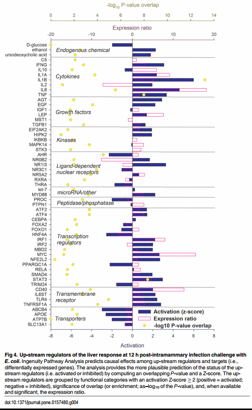 The Impact of Intramammary Escherichia coli Challenge on Liver and Mammary Transcriptome and Cross-Talk in Dairy Cows during Early Lactation Using RNAseq - Image 5