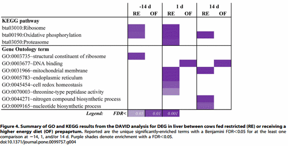 Integrative Analyses of Hepatic Differentially Expressed Genes and Blood Biomarkers during the Peripartal Period between Dairy Cows Overfed or Restricted-Fed Energy Prepartum - Image 4