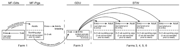 Influenza Virus Surveillance in Coordinated Swine Production Systems, United States - Image 1