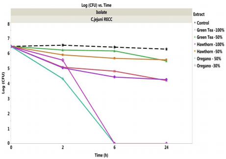 Antibacterial Activity of Commercially Available Plant Extracts on Selected Campylobacter jejuni Strains - Image 11