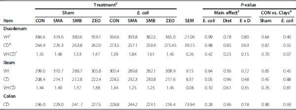 Escherichia coli challenge and one type of smectite alter intestinal barrier of pigs - Image 6