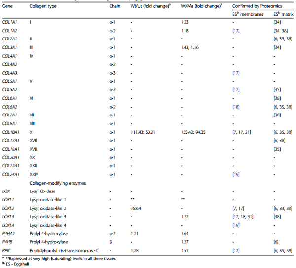 Identifying specific proteins involved in eggshell membrane formation using gene expression analysis and bioinformatics - Image 5