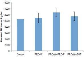 Bangladesh: Improving productivity of tilapia in ponds - Image 6