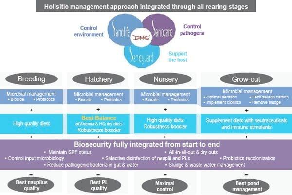 Holistic approach to combat EMS/AHPND - Image 2