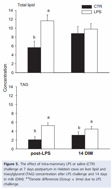 Acute mammary and liver transcriptome responses after an intramammary Escherichia coli lipopolysaccharide challenge in postpartal dairy cows - Image 7