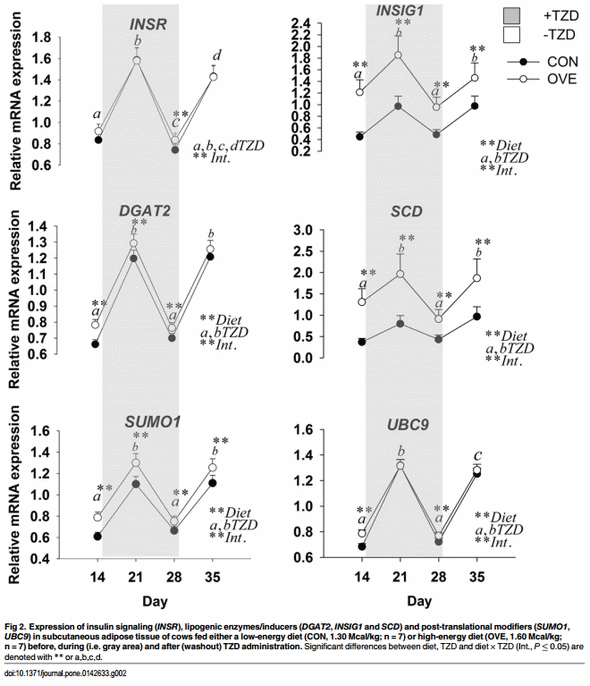 Insulin Sensitivity in Adipose and Skeletal Muscle Tissue of Dairy Cows in Response to Dietary Energy Level and 2,4-Thiazolidinedione (TZD) - Image 5