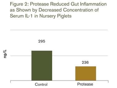 Piglets Have Allergies, Too - Image 2