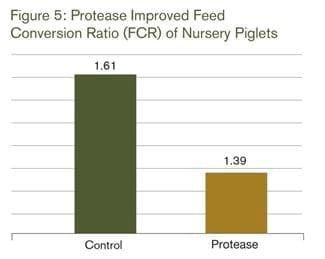 Piglets Have Allergies, Too - Image 5